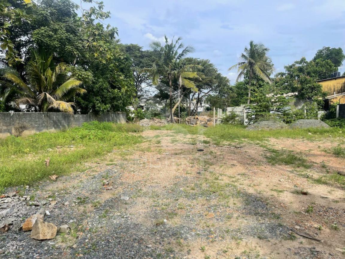 Land for Sale in Mount Lavinia- image 1