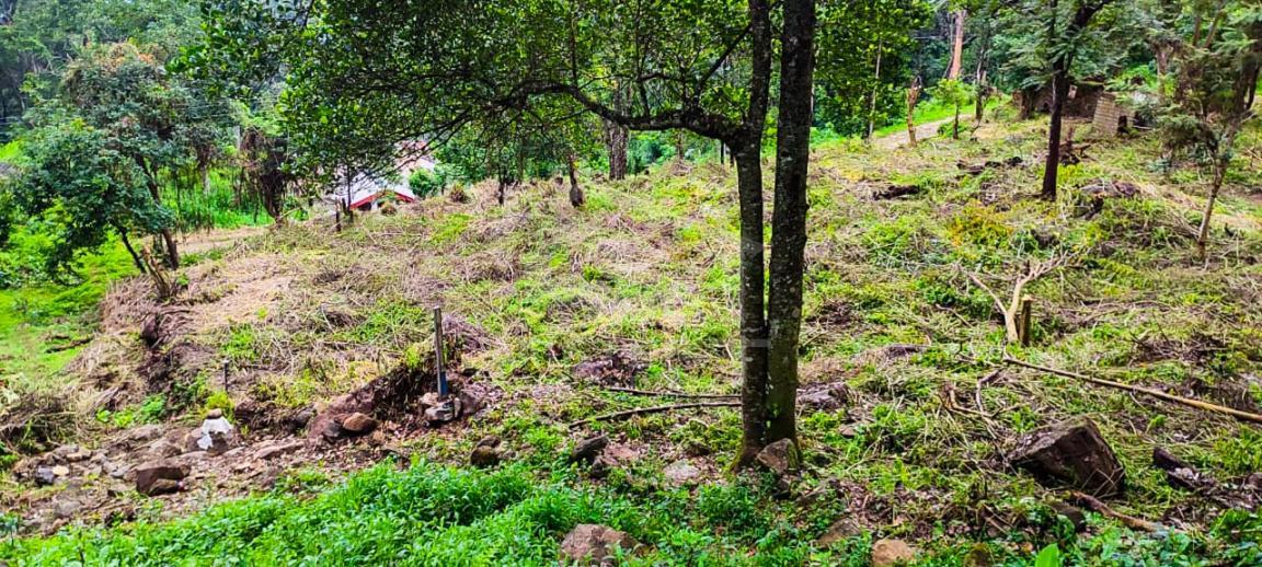 Land for Sale in Haptula- image 1