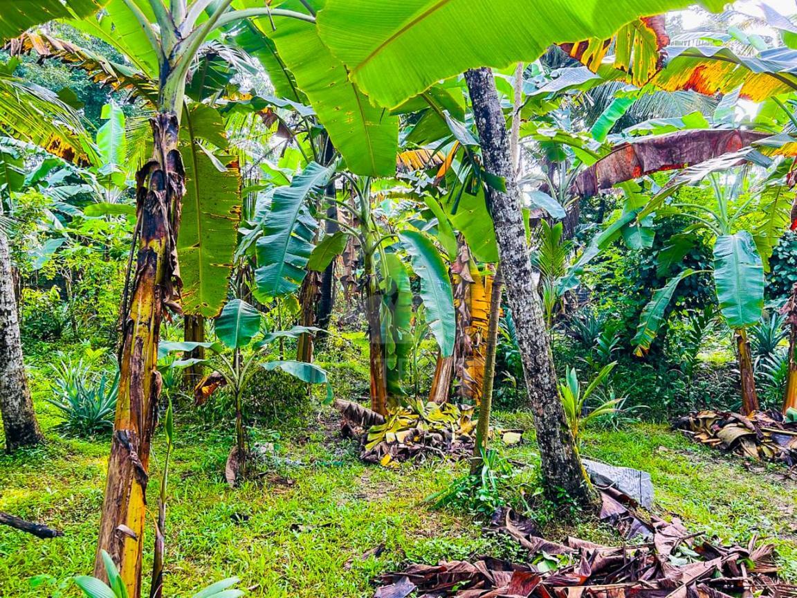 Commercial Land for Sale in Athurugiriya- image 1