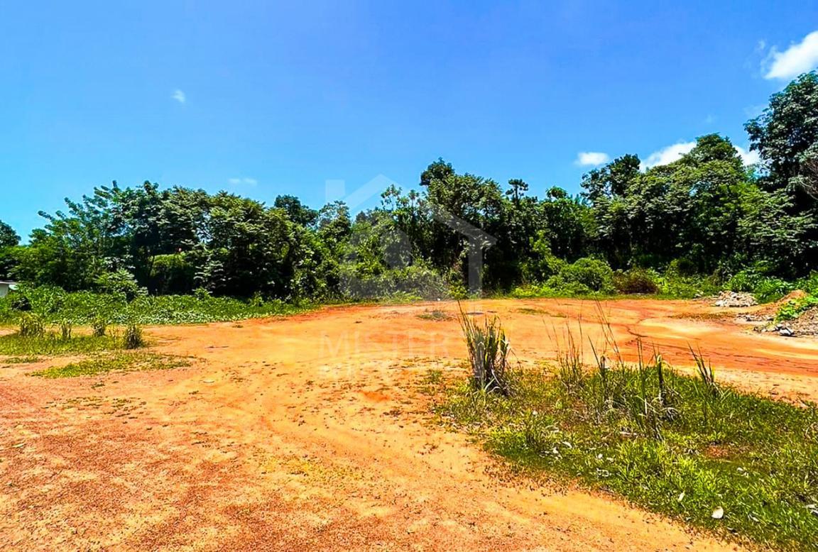 Commercial Land for Sale in Kirigampamunuwa- image 1
