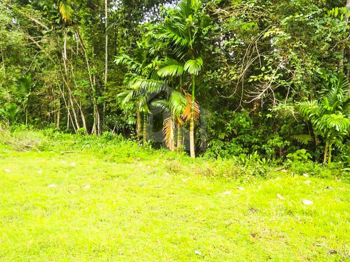 Commercial Land for Sale in Padukka- image 1