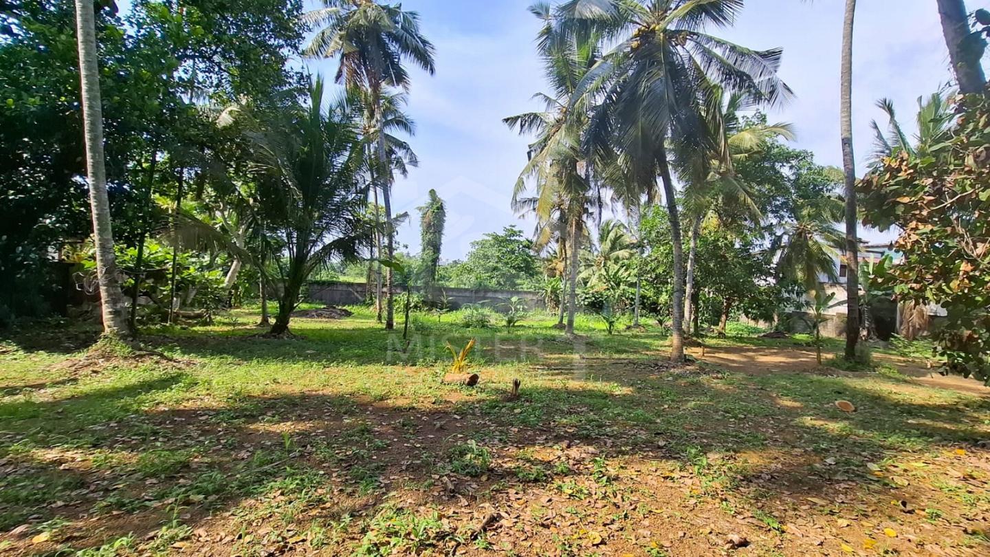 Land for Lease in Boralesgamuwa...