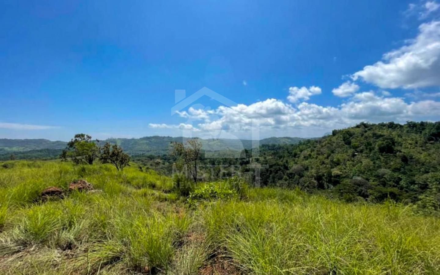 Commercial Land for Sale in Balangoda...