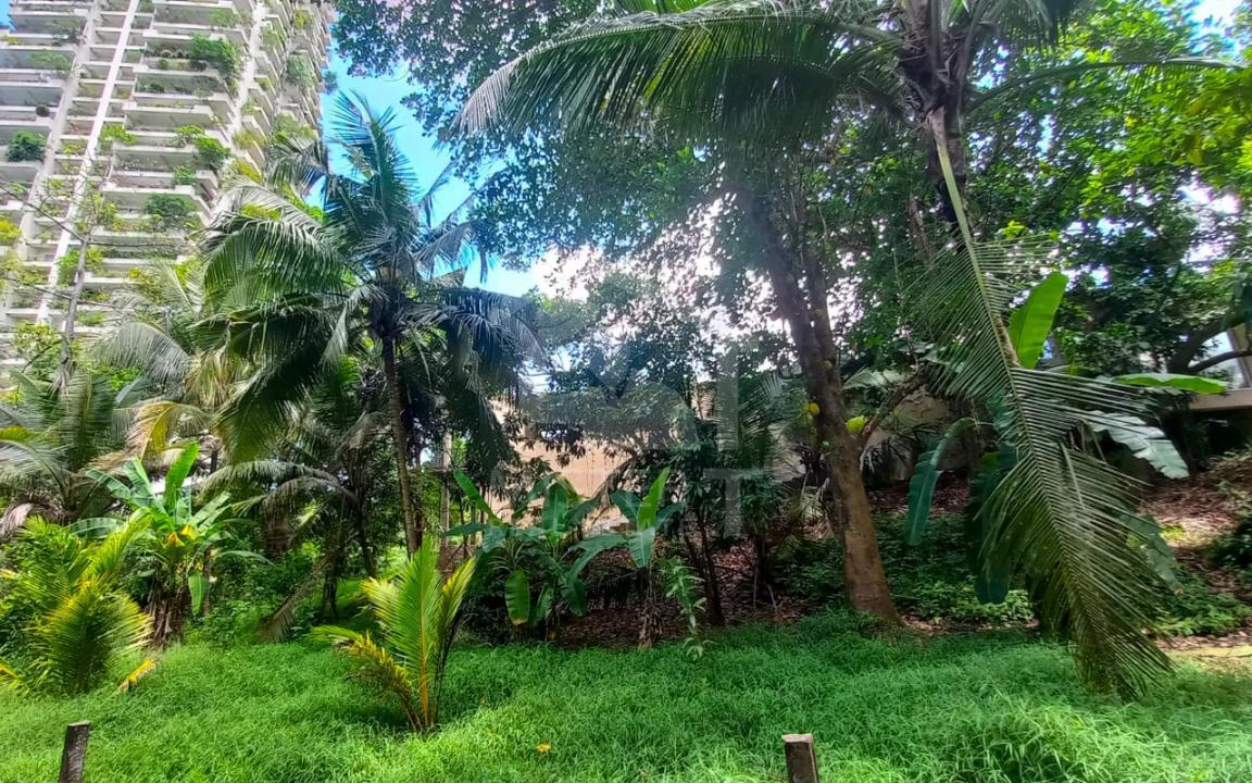 Land for Sale in Rajagiriya...