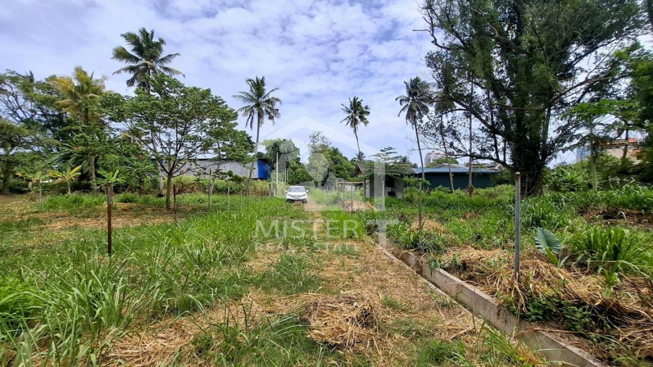 Land for Sale in Nawala...