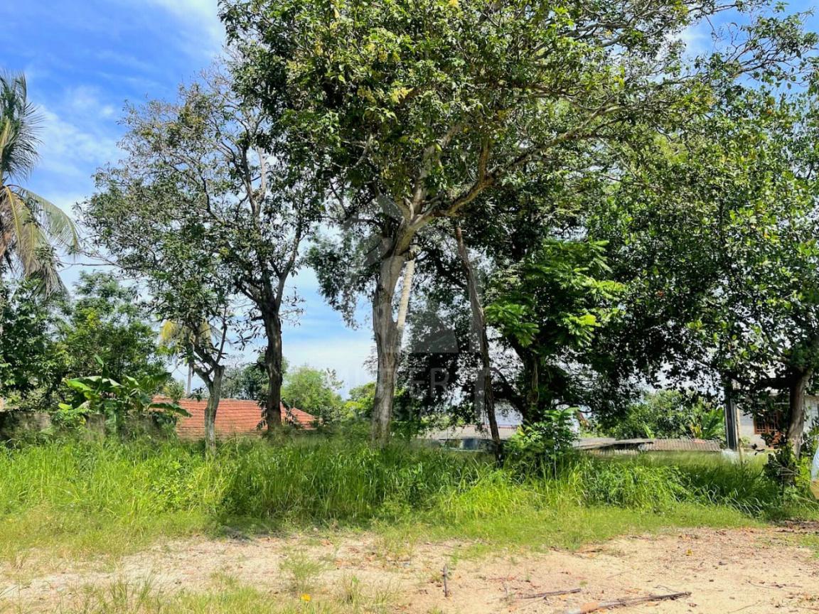 Land For Sale in Boralesgamuwa- image 2