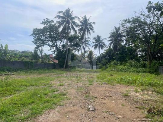 Land for Sale in Mount Lavinia- image 2