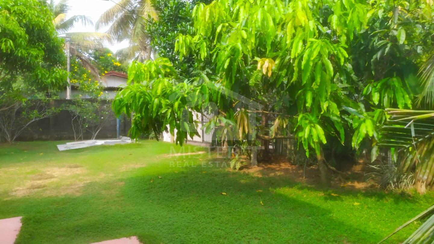 Land with Old House for Sale in Piliyandala- image 2