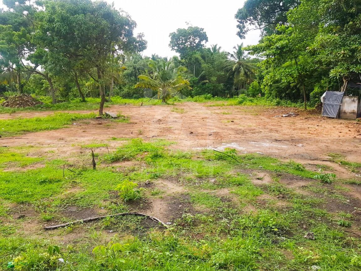 Land for Sale in Balapitiya- image 2