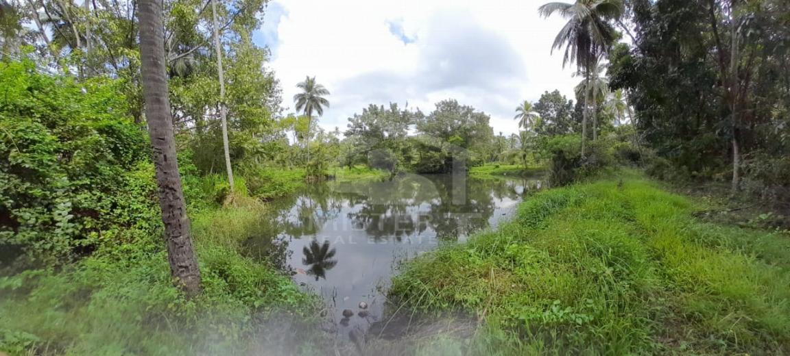 Land for Sale in Kurunegala- image 2