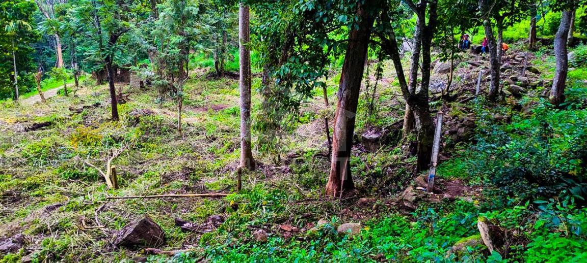 Land for Sale in Haptula- image 2