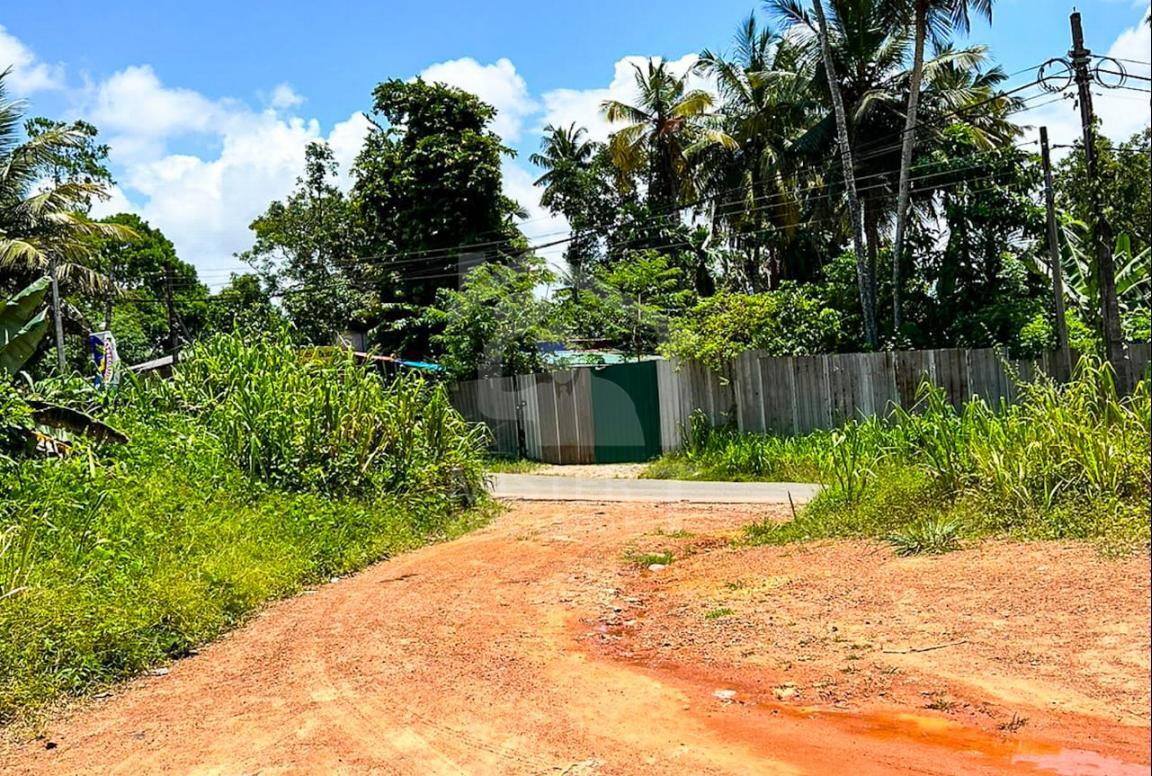 Commercial Land for Sale in Kirigampamunuwa- image 2