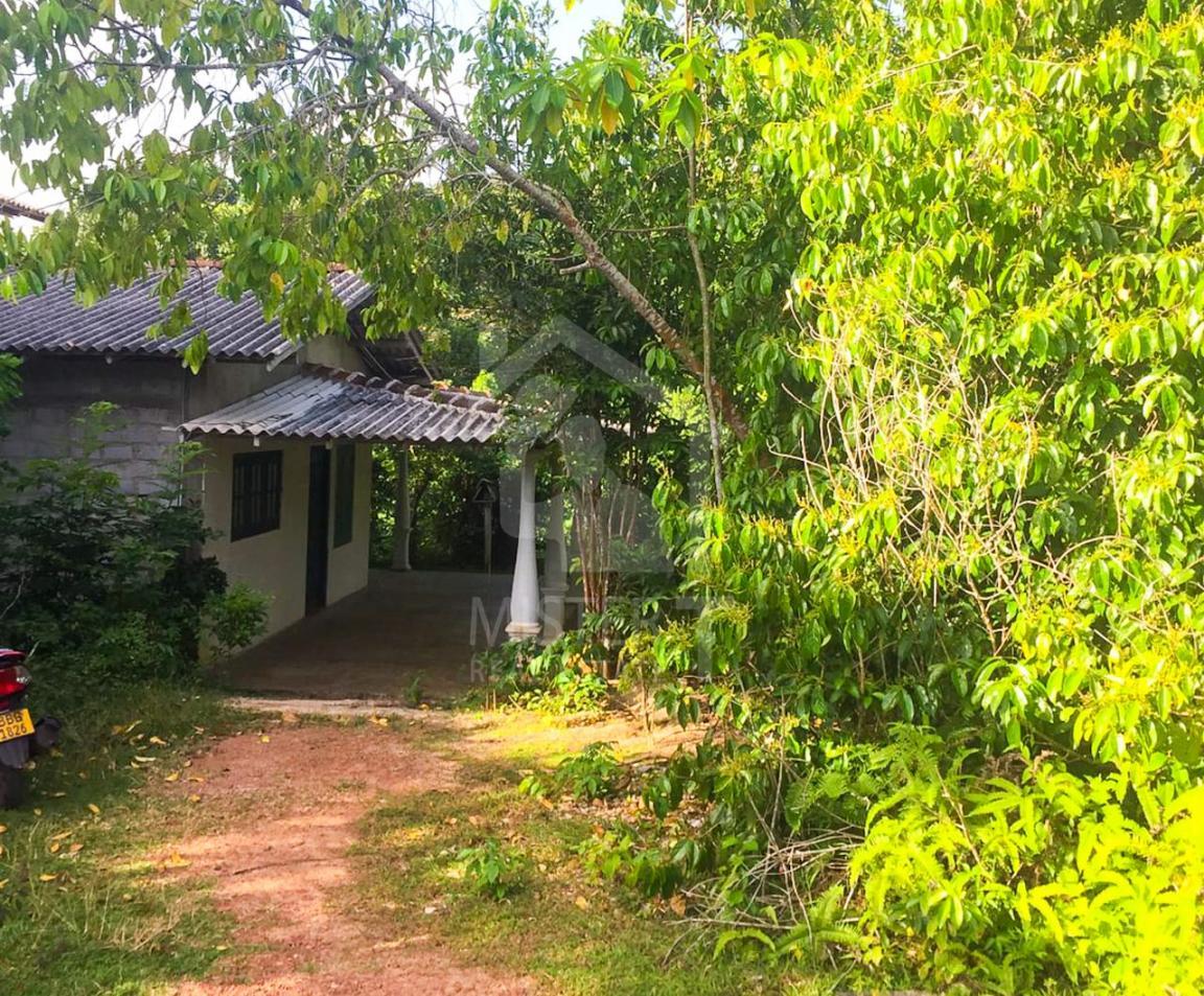 Commercial Land for Sale in Hikkaduwa- image 2