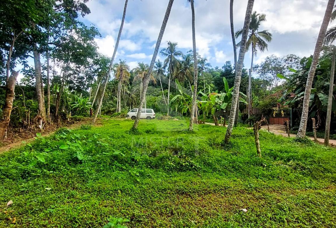 Land for Sale in Galle- image 2