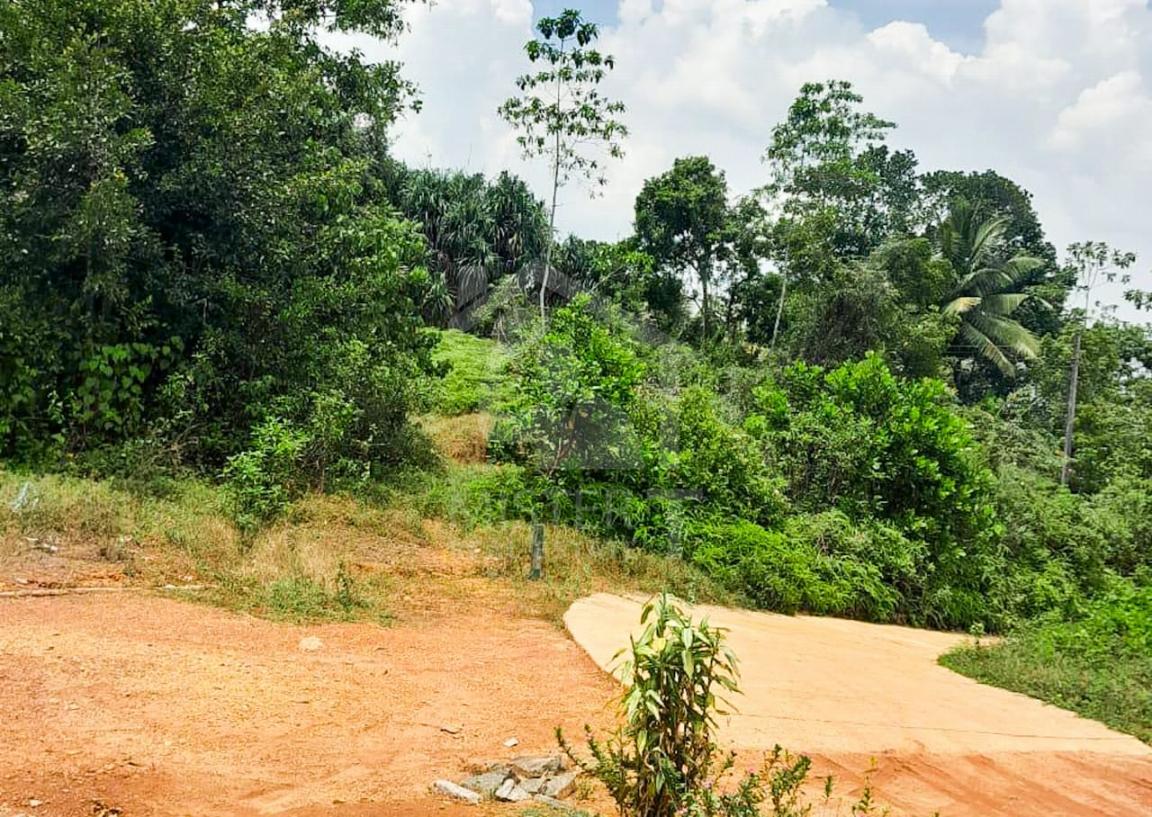 Commercial Land for Sale in Kalutara- image 2