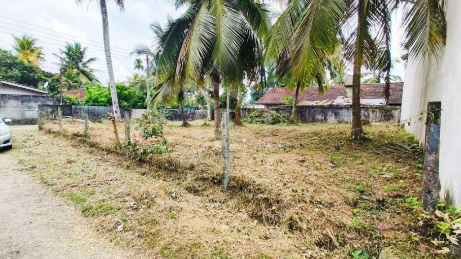 Land for Sale in Thalawathugoda- image 2