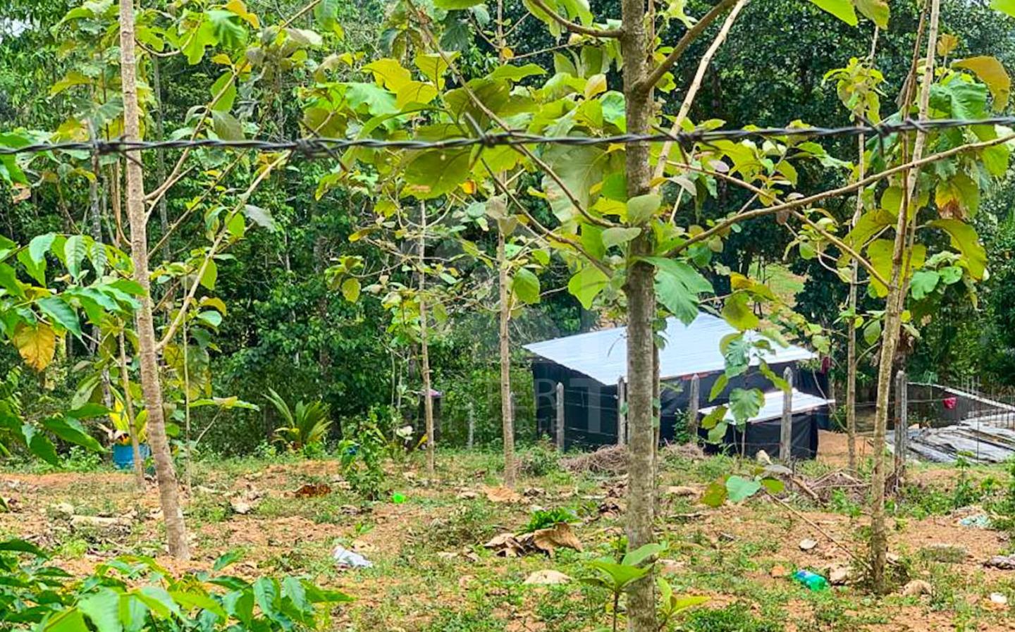 Land for Sale in Thalawathugoda- image 2