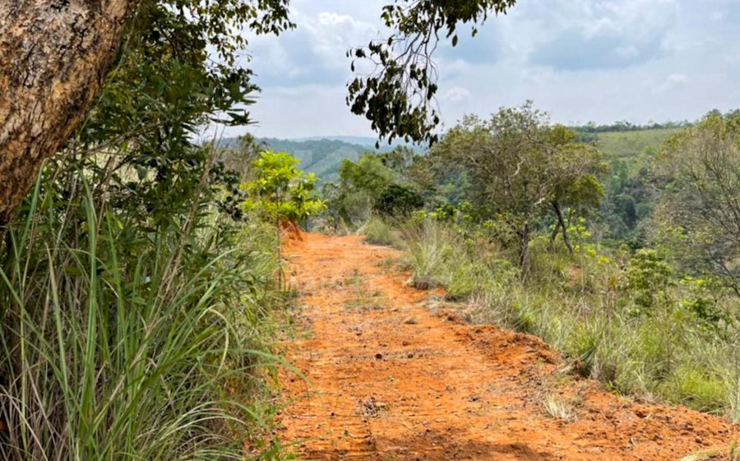 Commercial Land for Sale in Balangoda- image 2