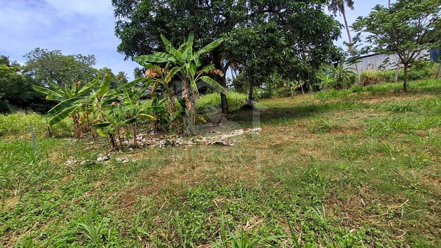 Land for Sale in Nawala- image 2