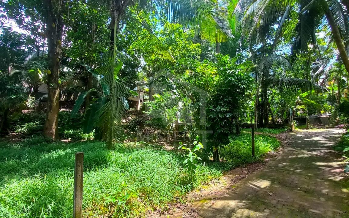 Land for Sale in Rajagiriya- image 2