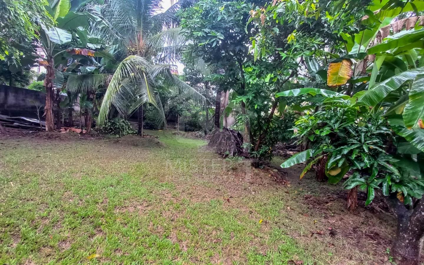 Land for Sale in Nawala- image 2