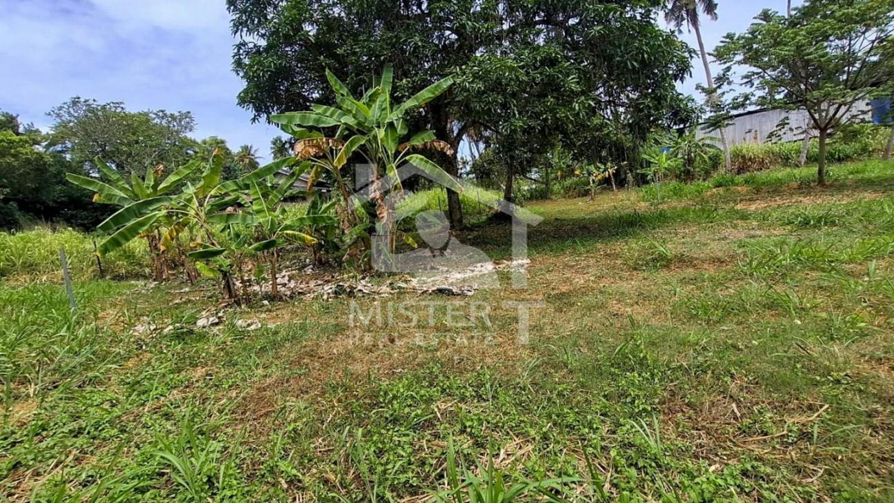 Land for Sale in Nawala- image 2
