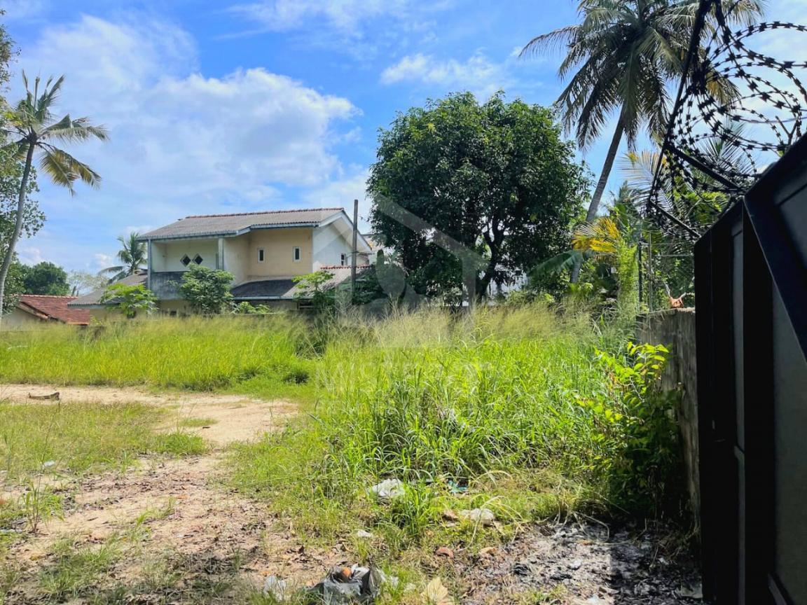 Land For Sale in Boralesgamuwa- image 3