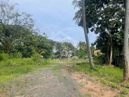 Land for Sale in Mount Lavinia- image 3