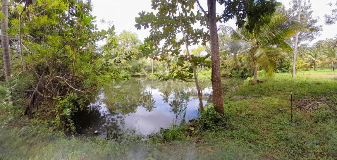 Land for Sale in Kurunegala- image 3