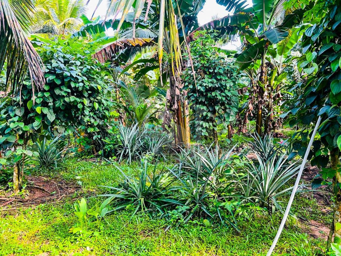 Commercial Land for Sale in Athurugiriya- image 3