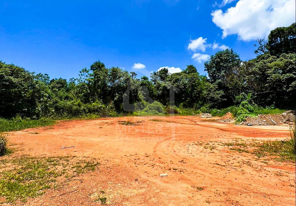 Commercial Land for Sale in Kirigampamunuwa- image 3