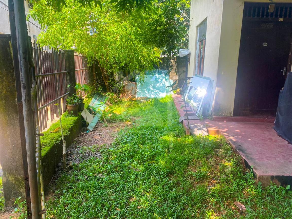 Land with Old House for Sale in Colombo 05- image 3