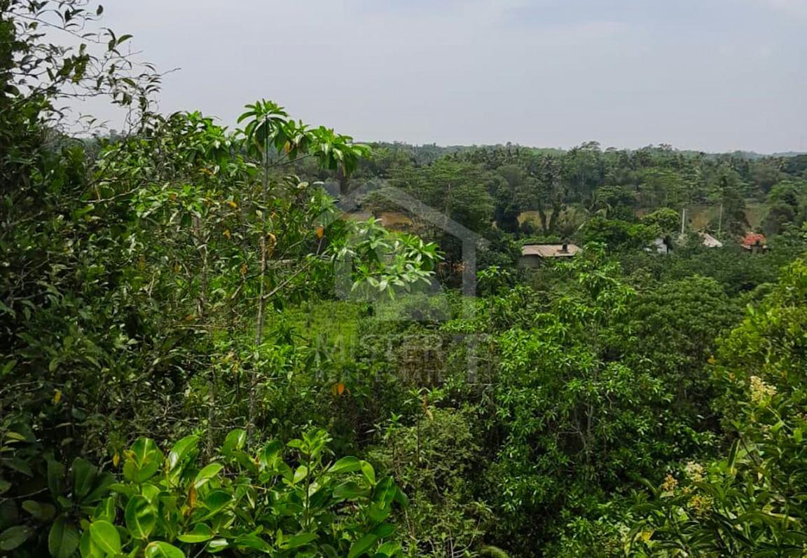 Commercial Land for Sale in Kalutara- image 3