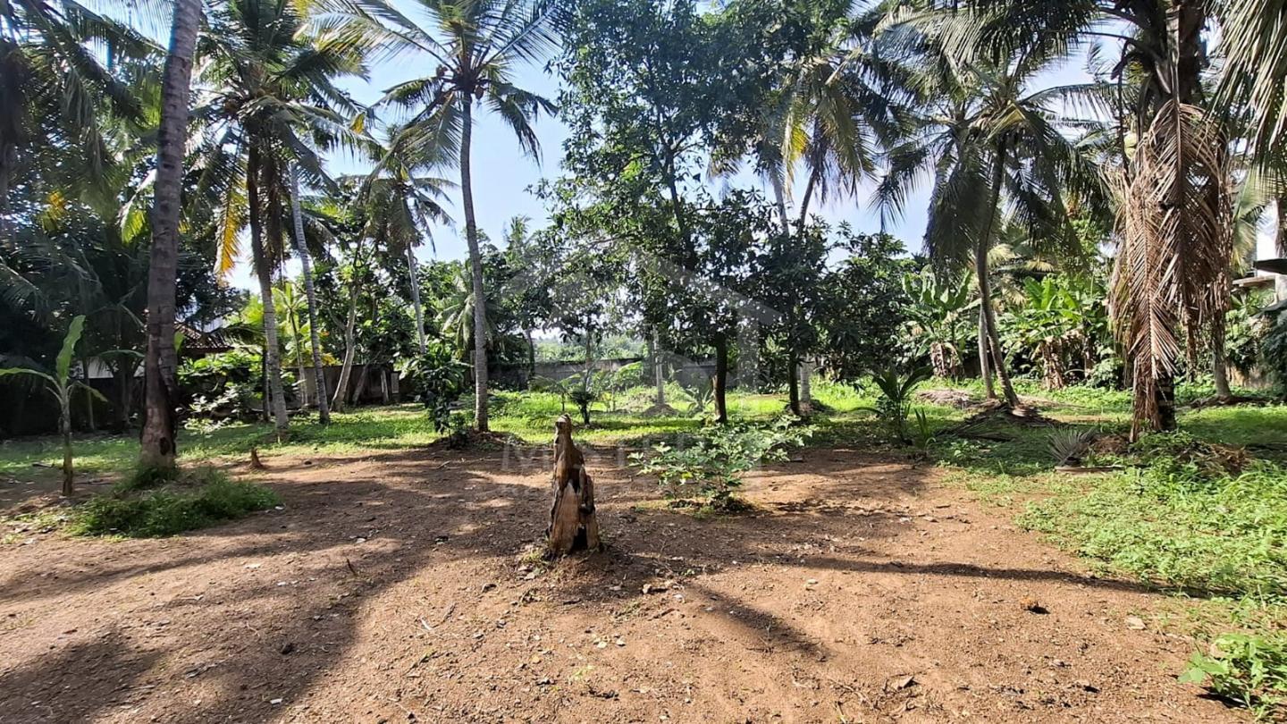 Land for Lease in Boralesgamuwa- image 3