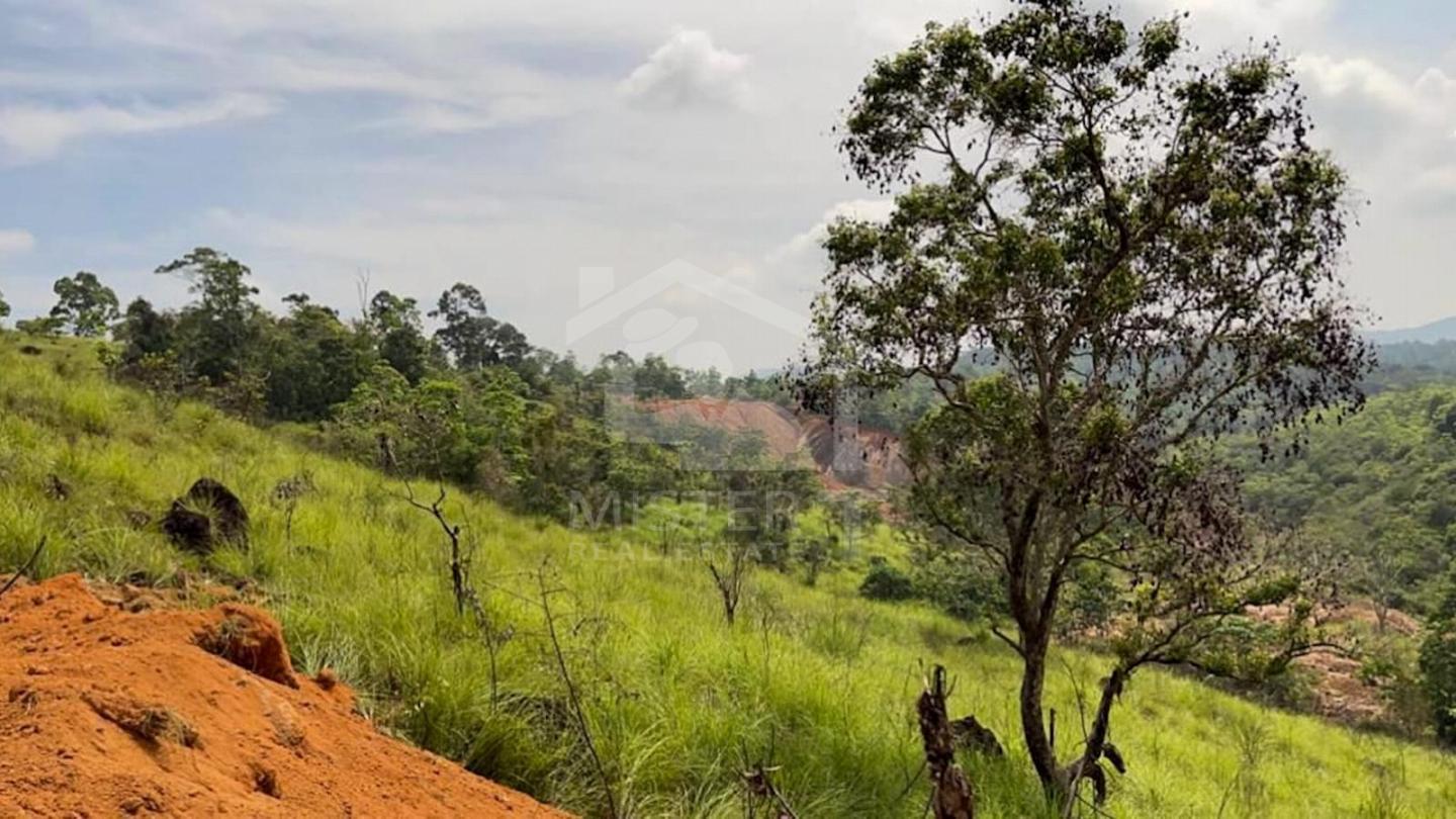 Commercial Land for Sale in Balangoda- image 3