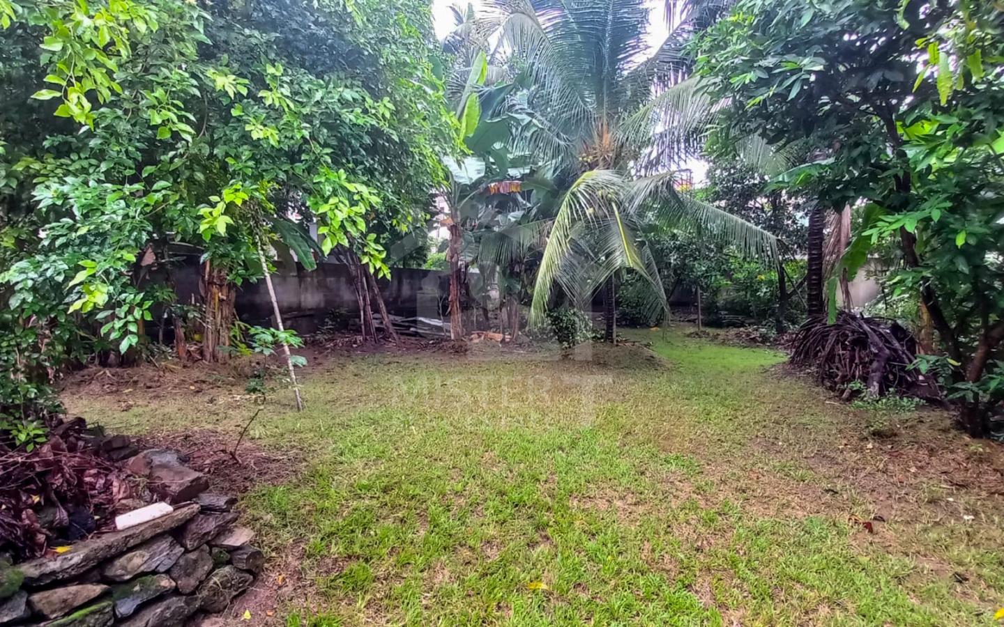 Land for Sale in Nawala- image 3