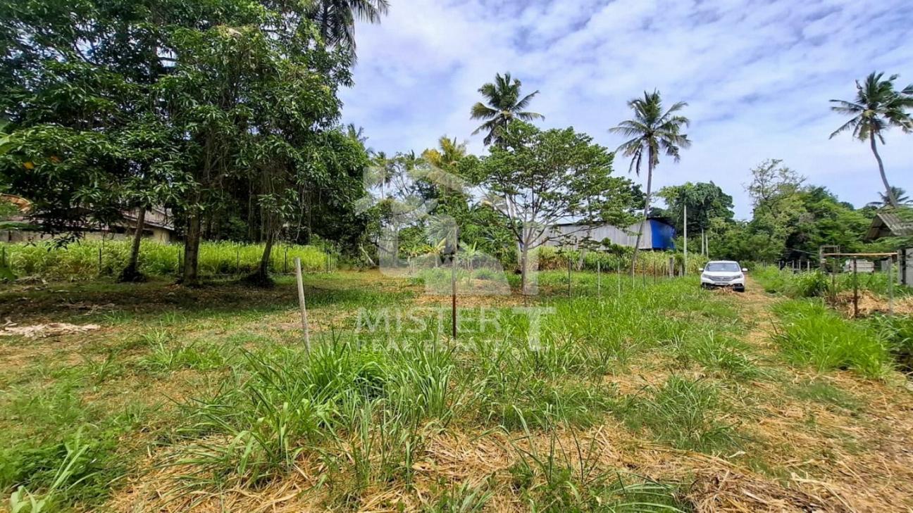 Land for Sale in Nawala- image 3