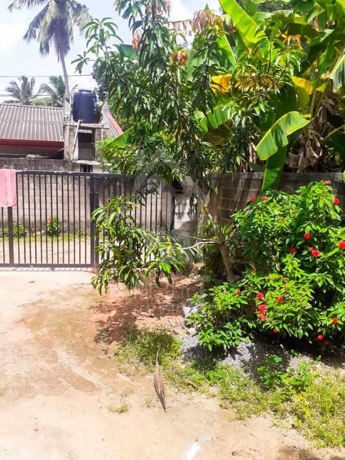 Land For Sale In Gampaha- image 4