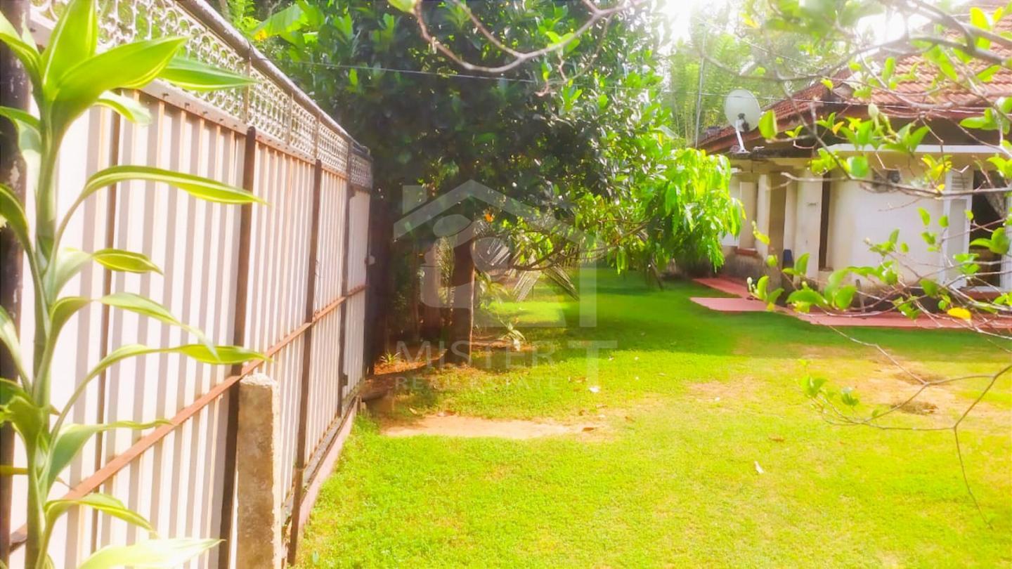 Land with Old House for Sale in Piliyandala- image 5