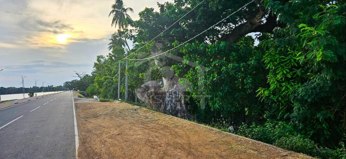 Commercial Land for Sale in Tissamaharama- image 5