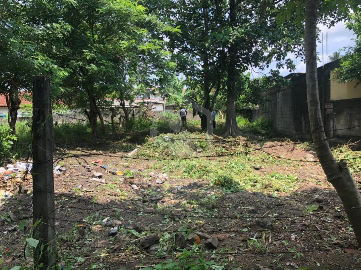 Land for Sale in Pannipitiya- image 2