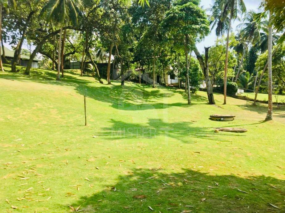 Land for Sale in Bolgoda  - image 1