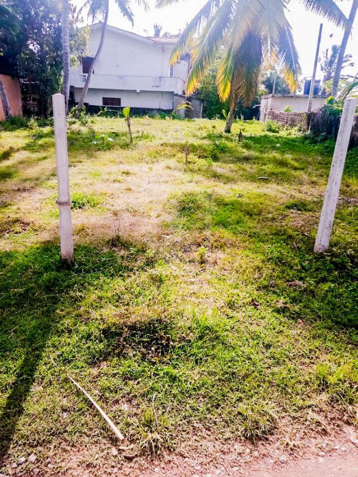 Land for Sale in Pagoda- image 1