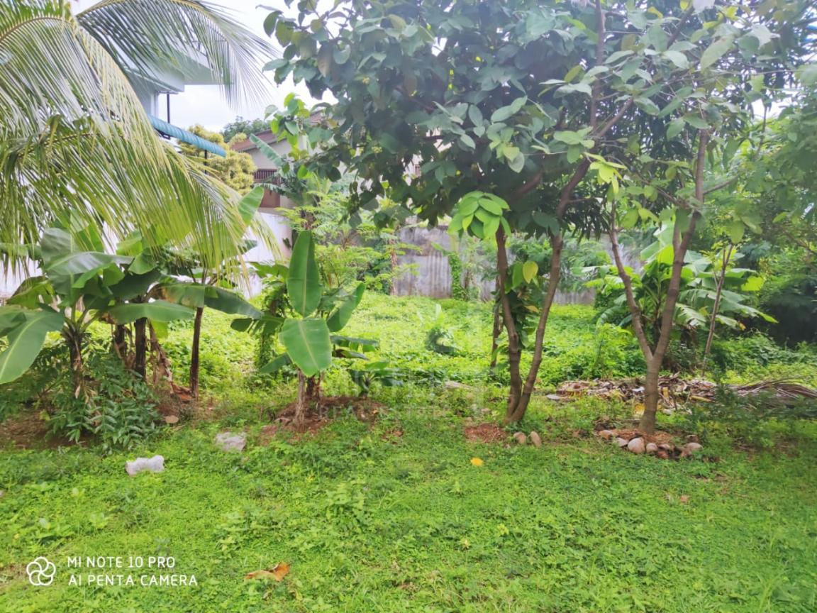 Land for Sale in Nawala- image 1