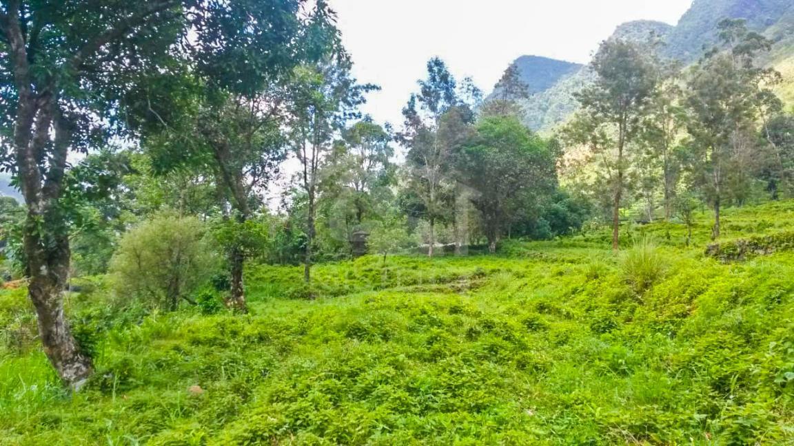 Land for Sale in Nortonbridge- image 1