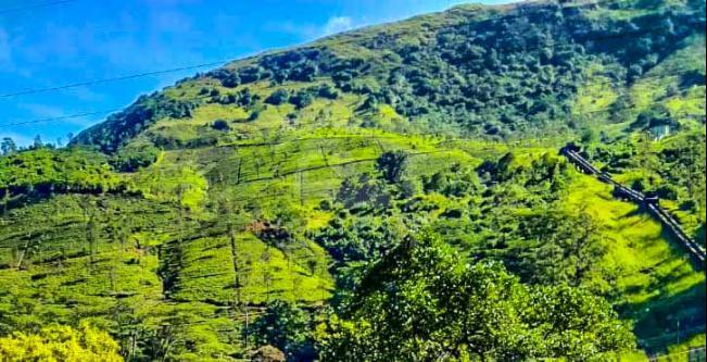 Land for Sale in Norton Bridge- image 1