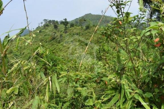 Land for Sale in Ratnapura - image 1