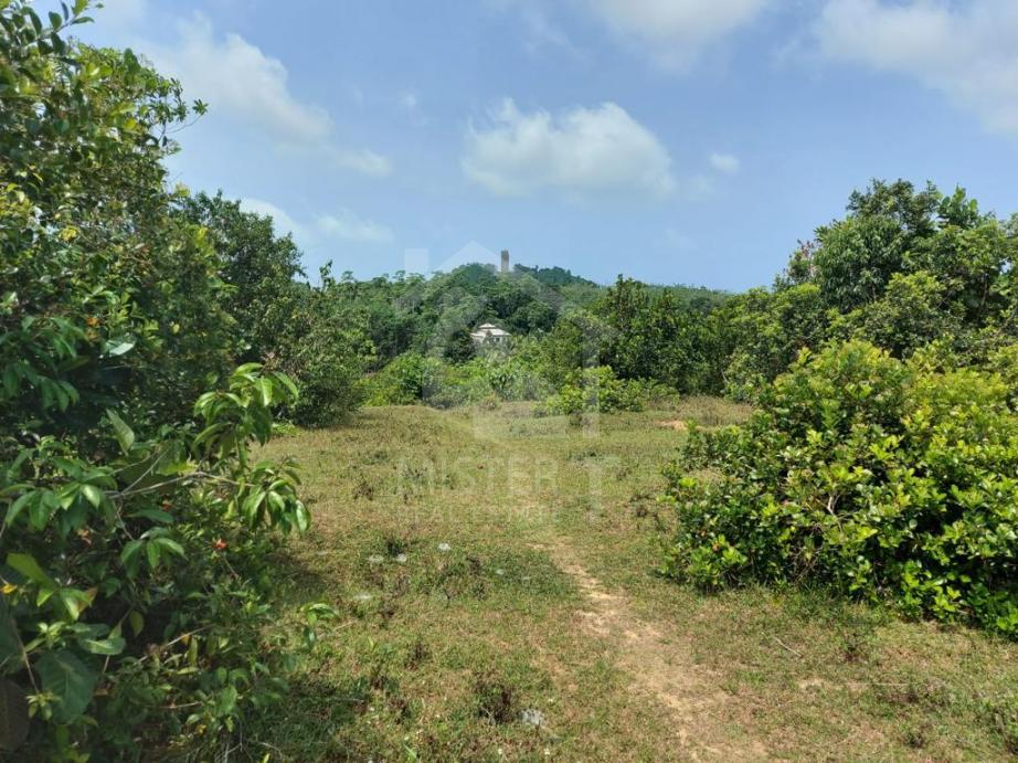 Land for Sale in Kalutara- image 1