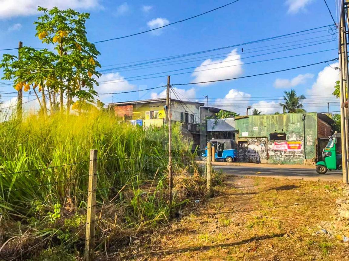 Land for Sale in panadura - image 1