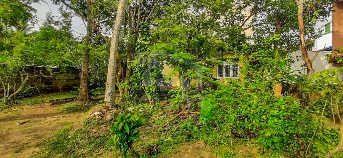 Land for Sale in Dehiwala- image 1